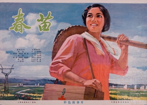 杰克逊维尔大学本科毕业证